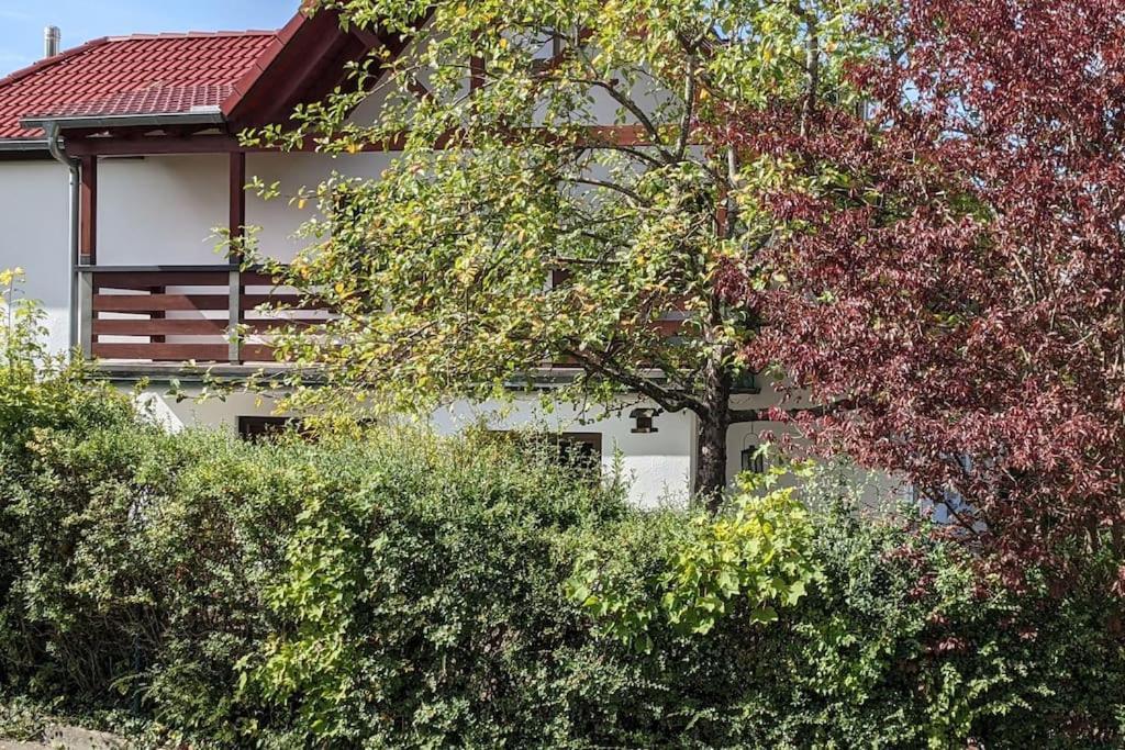 Ferienwohnung In Ruhiger Lage Direkt Am Wald Heidenheim an der Brenz Εξωτερικό φωτογραφία